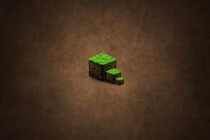 Bloques de tierra fondos de pantalla de Minecraft