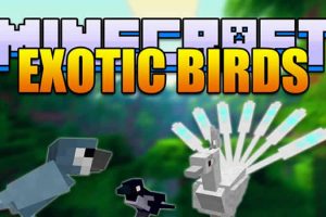 Exotic Birds Mod para Minecraft